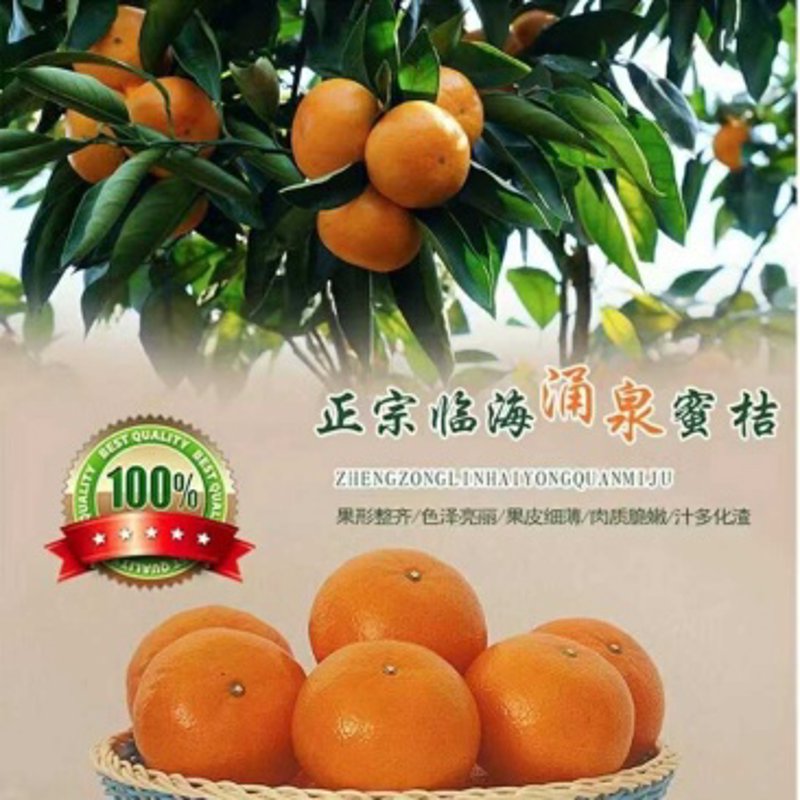 本地蔬菜配送：选择新鲜与便利的双重保障